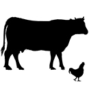Rind-Geflügel Mix
