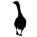 Gans